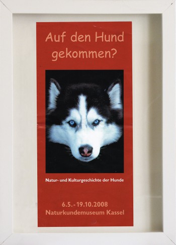 10_auf-den-hund-gekommen